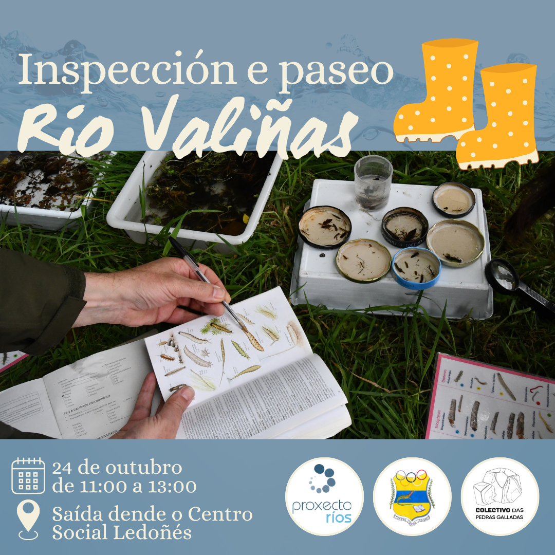 Cartaz oficial: Inspección de Outono do Río Valiñas dentro do Proxecto Ríos