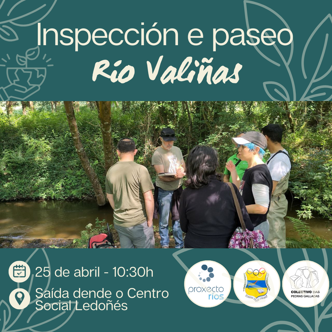Cartaz do evento: Inspección do río Valiñas en Ledoño