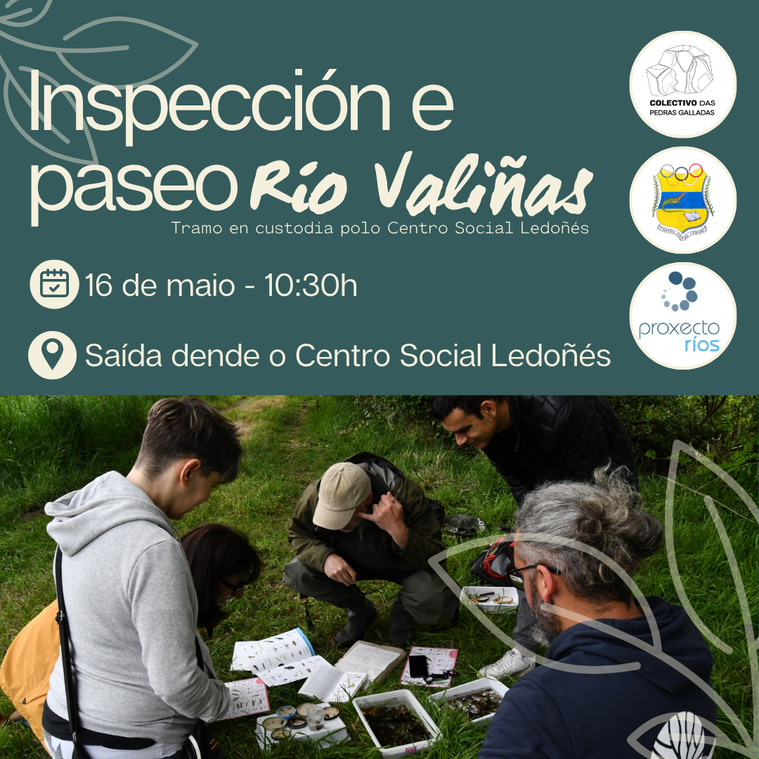 Cartaz informativo: Nova xornada de inspección dentro do Proxecto Ríos o vindeiro sábado 16 ás 10:30h